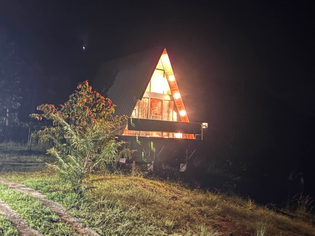 Dream Ville Pallangi: A High-Altitude Jungle Adventure | Room Cost Starts From ₹4,172