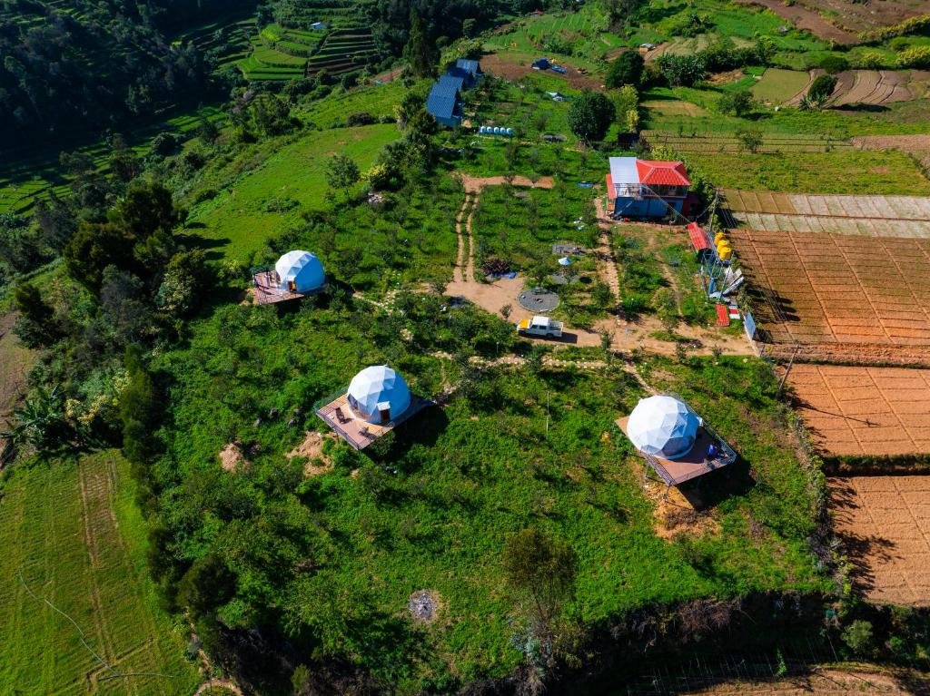 LT Nature Glamps: Luxury Glamping in Poombarai