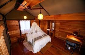 Coffee County Resorts: A Rustic Escape in Sirumalai Hills | Room Cost Starts From ₹3,500