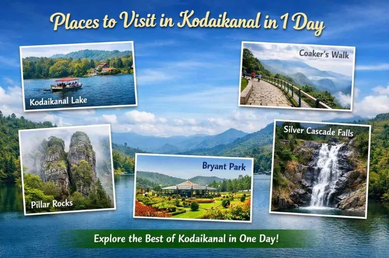 top-places-to-visit-in-kodaikanal-in-1-day-complete-travel-guide with dindigultravels dindigul to kodai