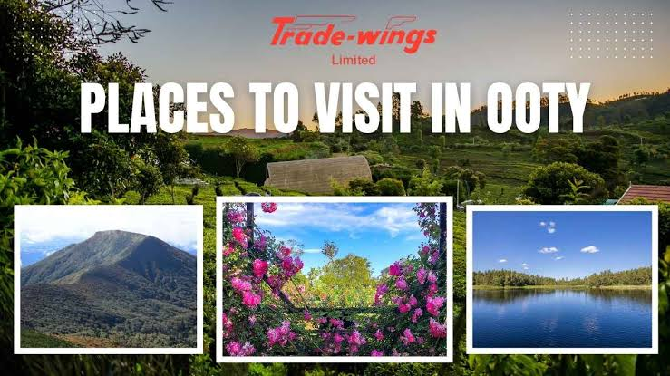 Dindigul to Ooty Taxi | One Way & Round Trip